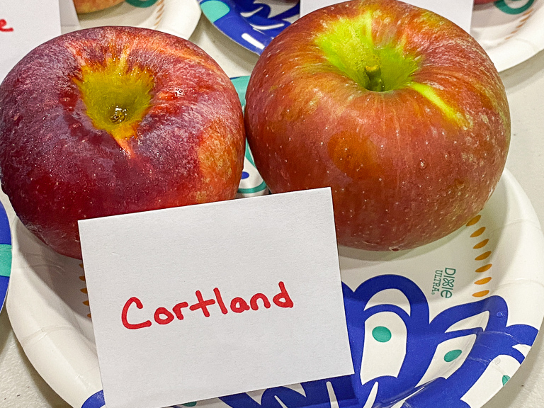 Apple - Cortland - tasting notes, identification, reviews