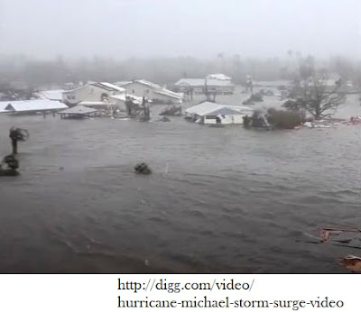 http://digg.com/video/hurricane-michael-storm-surge-video