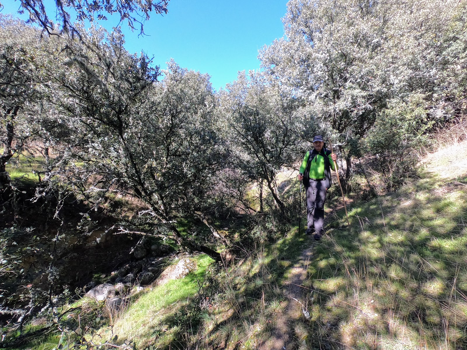 Wikiloc Ruta Aldea del Fresno a las Cárcavas del río Perales subiendo