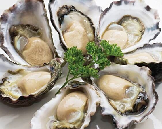 Health-Benefits-Eating-Oysters