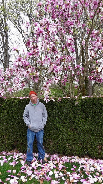 Garden Muses Not Another Toronto Gardening Blog In Love With My
