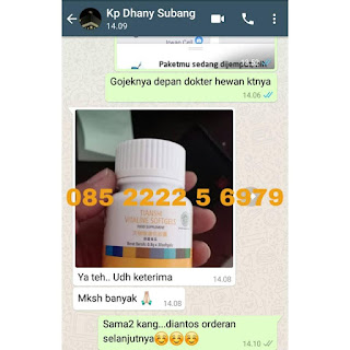 Hub 085222256979 Jual Produk Tiens Original Di Seram Bagian Barat Bersegel Resmi Original  Agen Distributor Cabang Stokis Toko Resmi Tiens Syariah Indonesia. ASLI DIJAMIN ORIGINAL