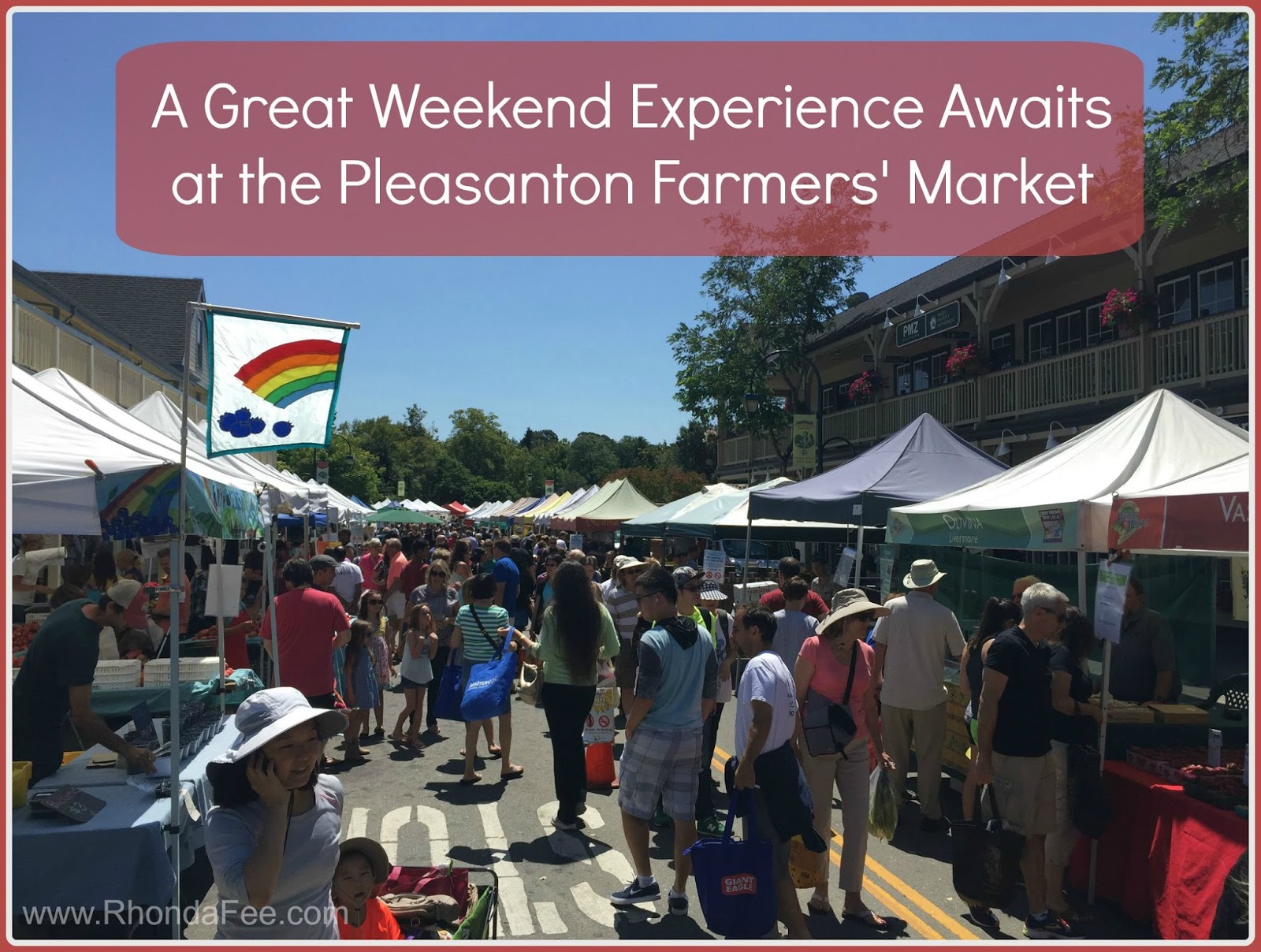 Pleasanton Luxury Homes by Rhonda Fee A Great Weekend Experience