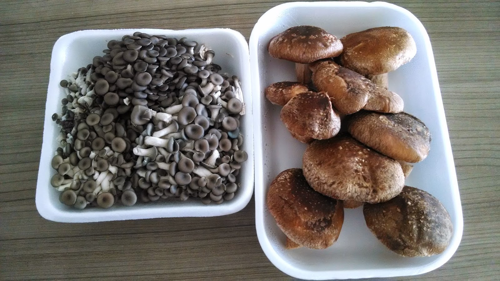 Vivant Seules Shimeji e Shitake