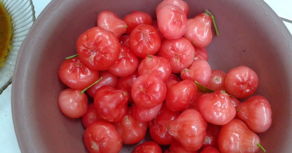 Berkumpul Teman Kampung Dan Rujakan Jambu Air Nasirullah Sitam