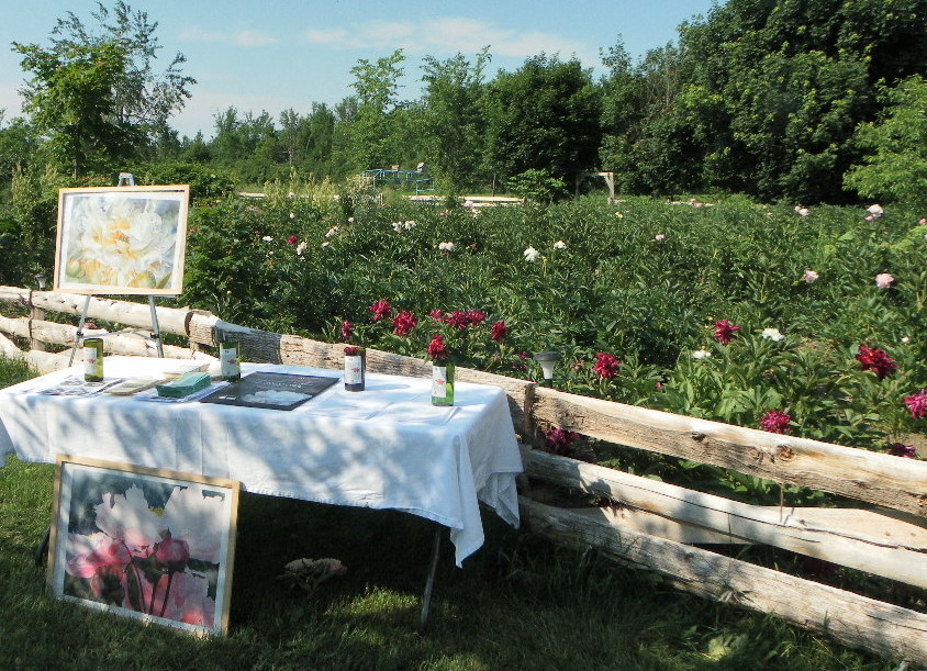 Canadian Peony Society Portes ouvertes à StStanislas de Kostka