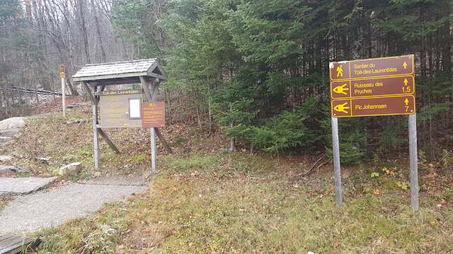 Début du sentier pour le Johannsen 