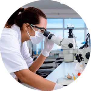 Lolos Variable Speed Friction Test