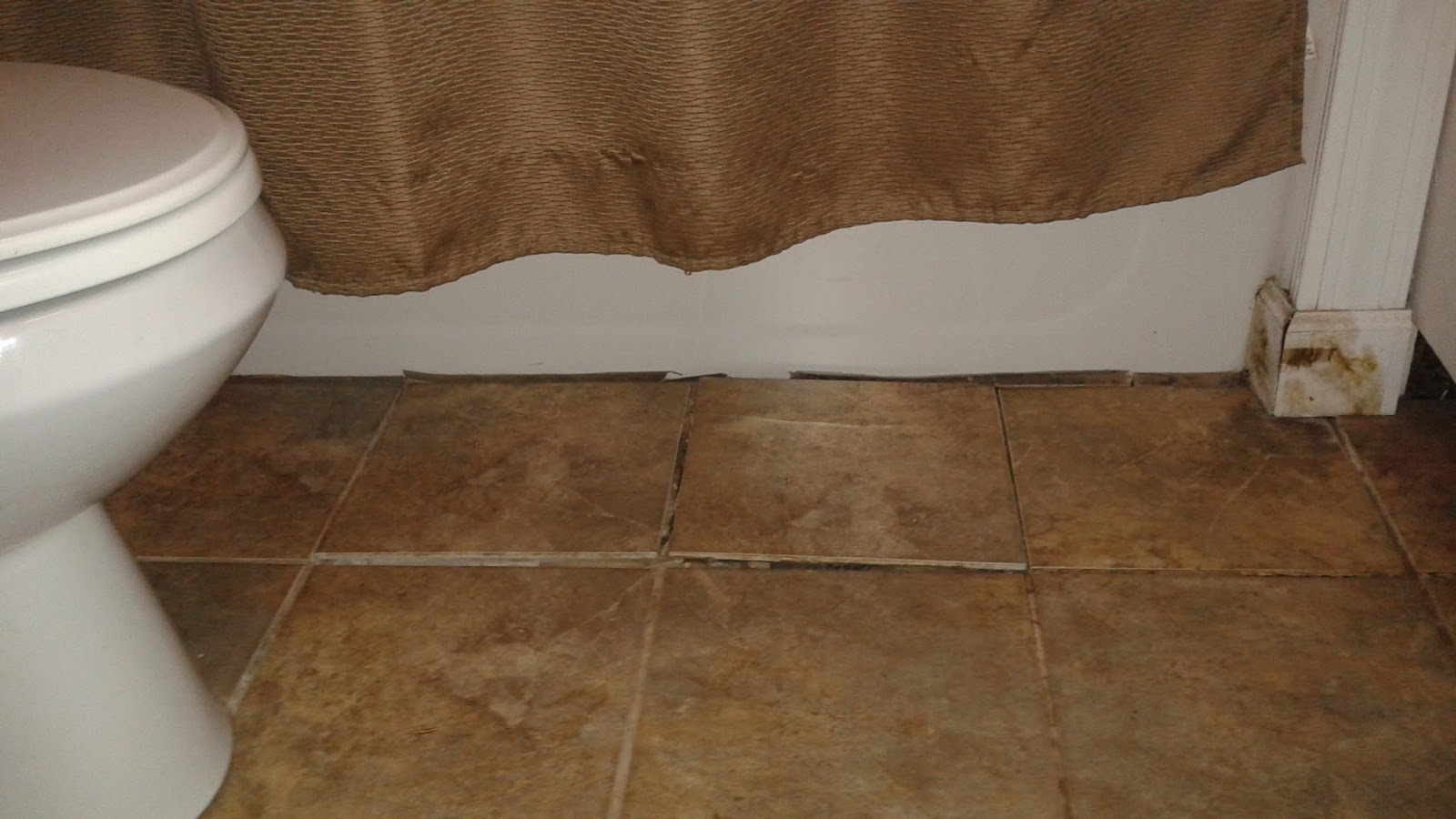 Physical Evidence: Ceramic Tiles Pop Up in the Bathroom, Revealing ... Physical Evidence: Ceramic Tiles Pop Up in the Bathroom, Revealing ...
