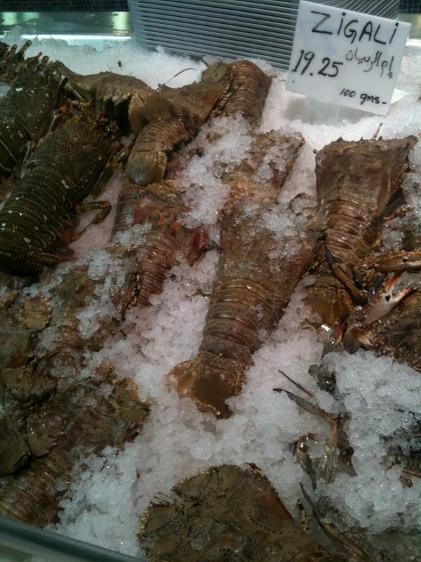 A Little Oryx in Qatar L’wzarr Seafood Market at Katara Cultural Village