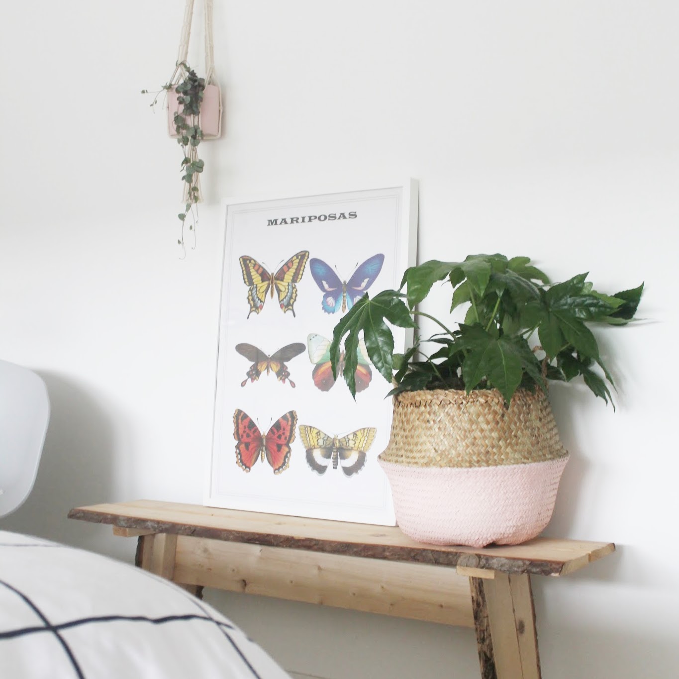 Missjettle : maart 2016