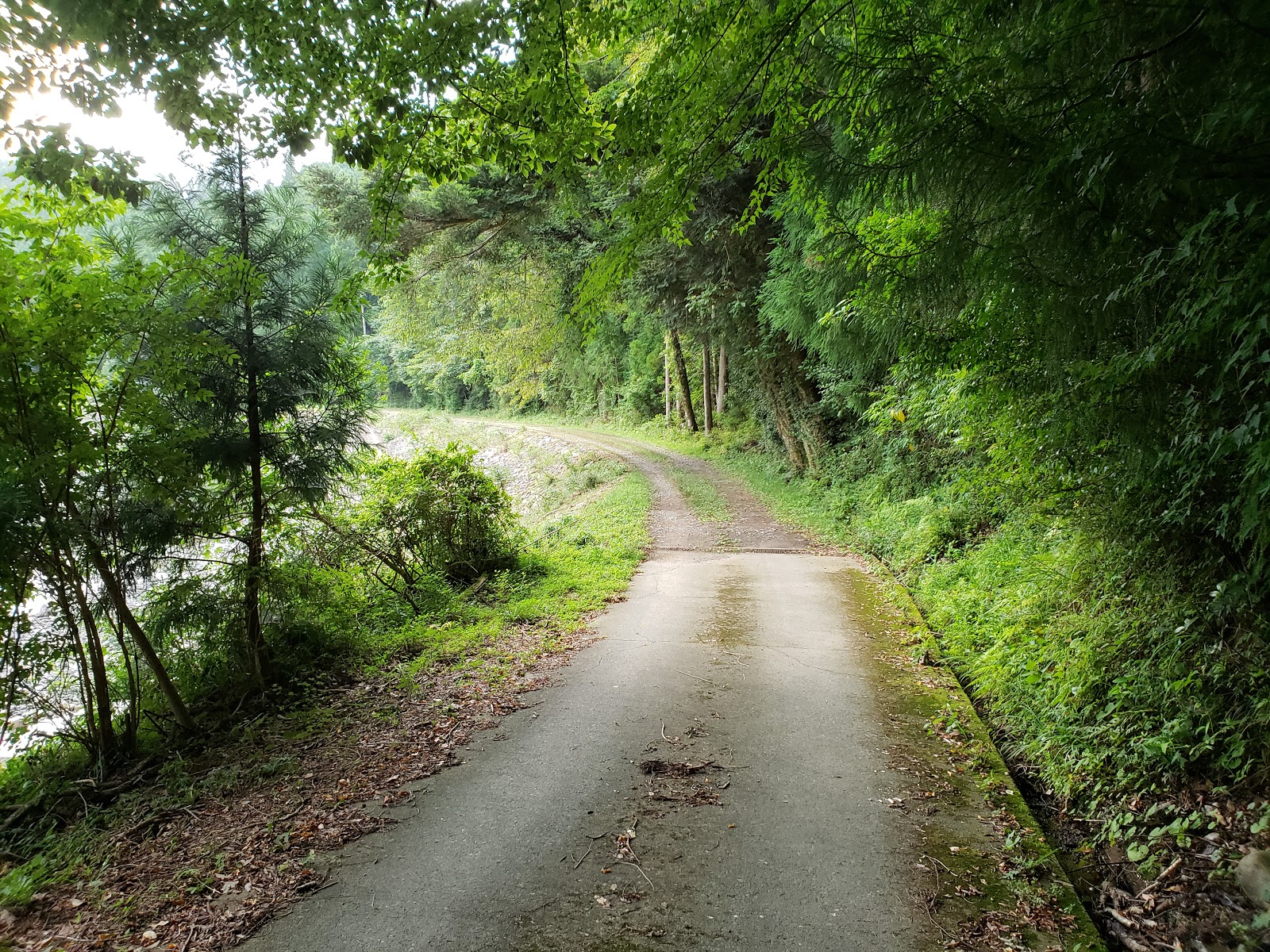 アメ車でワンワンキャンプ