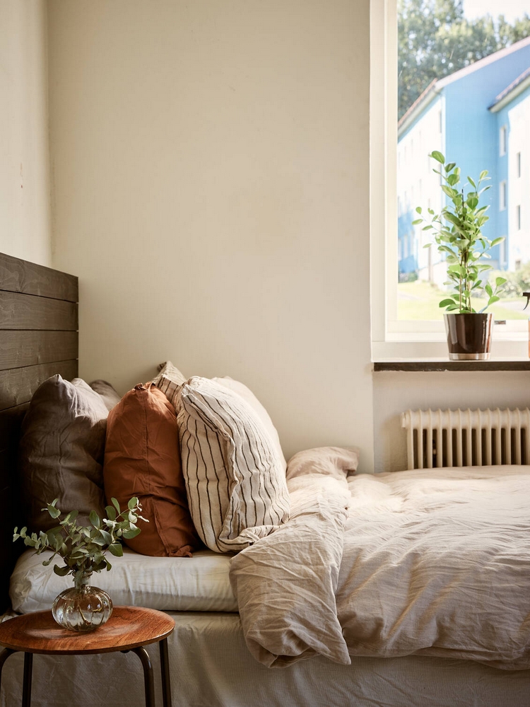 BOIS ET PLANTES DANS UN PETIT ESPACE