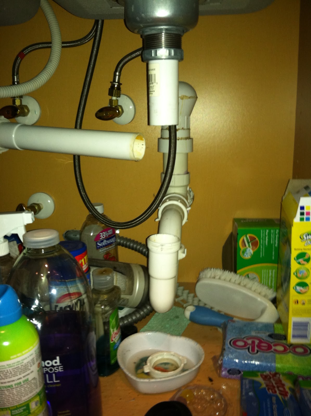 Too Much Stuff! Day 14 Under the kitchen Sink