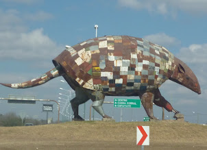 QUIRQUINCHO , O ARMADILLO DE SALTA