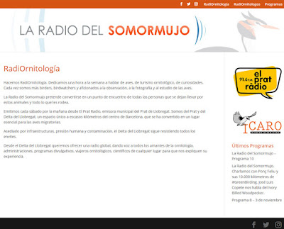 https://laradiodelsomormujo.com/