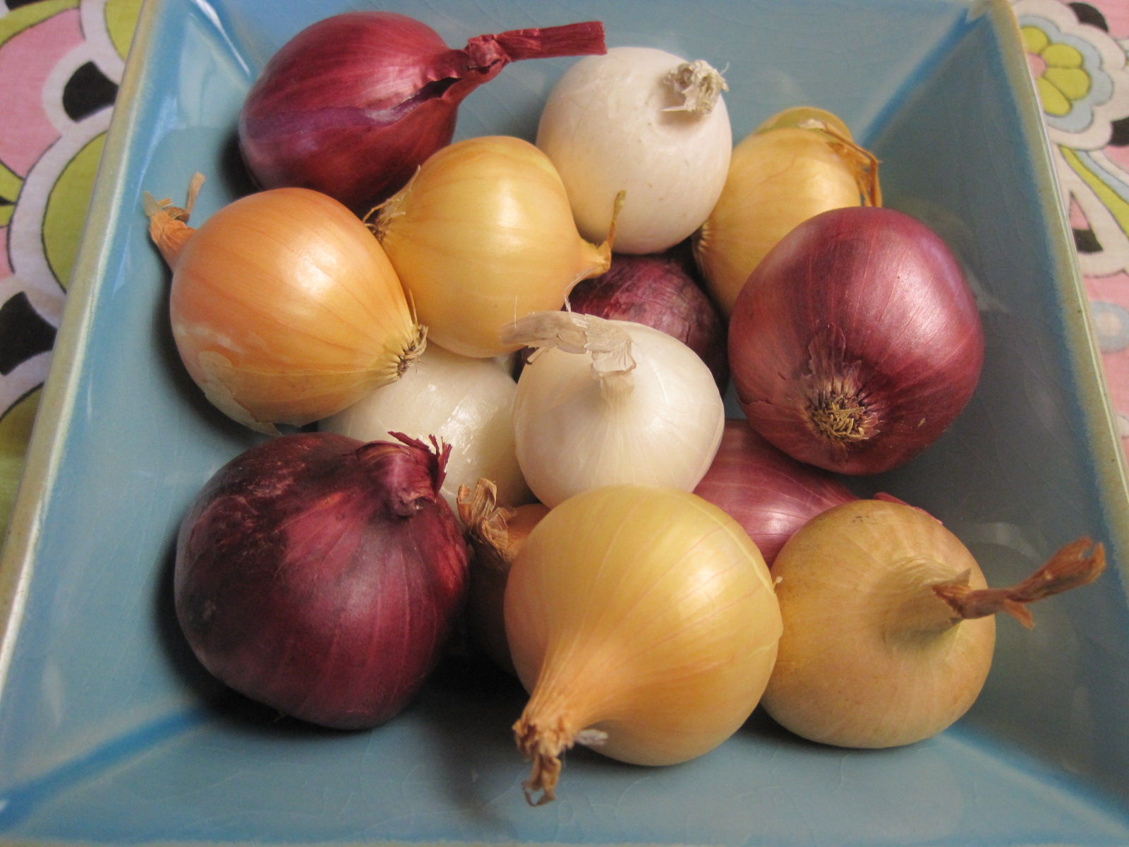 Mom's Cooking Help Boiling Onions What Are They and How Do I Use Them?