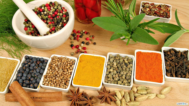 Why Prefer Ayurveda above other Medicinal Systems?