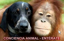 CONCIENCIA ANIMAL