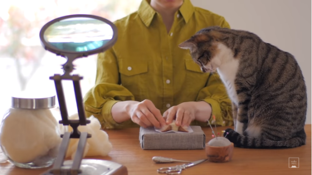 YouTuber Jepang Membuat Kerajinan  Kucing yang Terlihat 