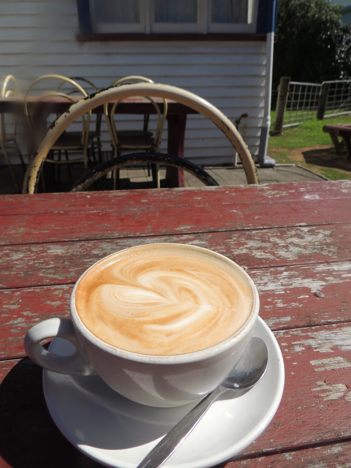 the-road-taken-raglan-to-mokau-to-new-plymouth