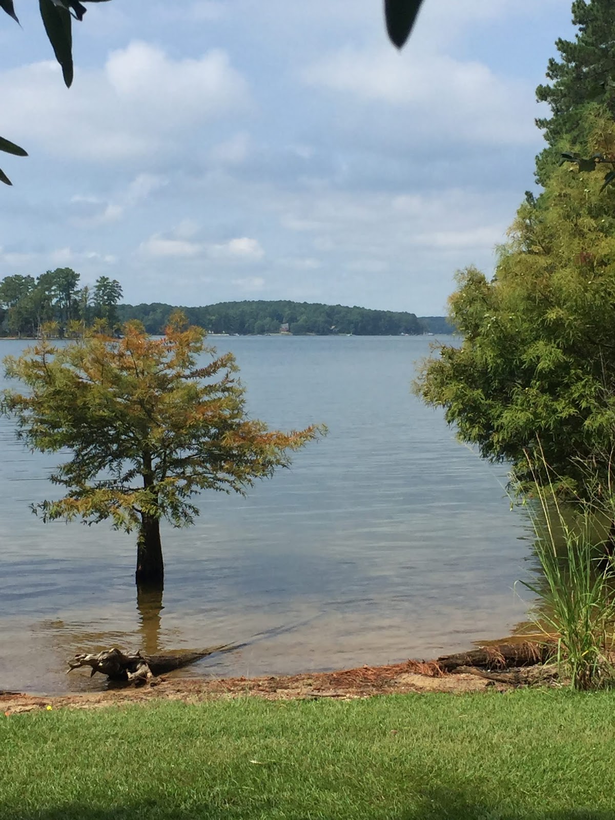 Dreher Island State Park