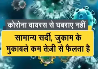 corona virus cases