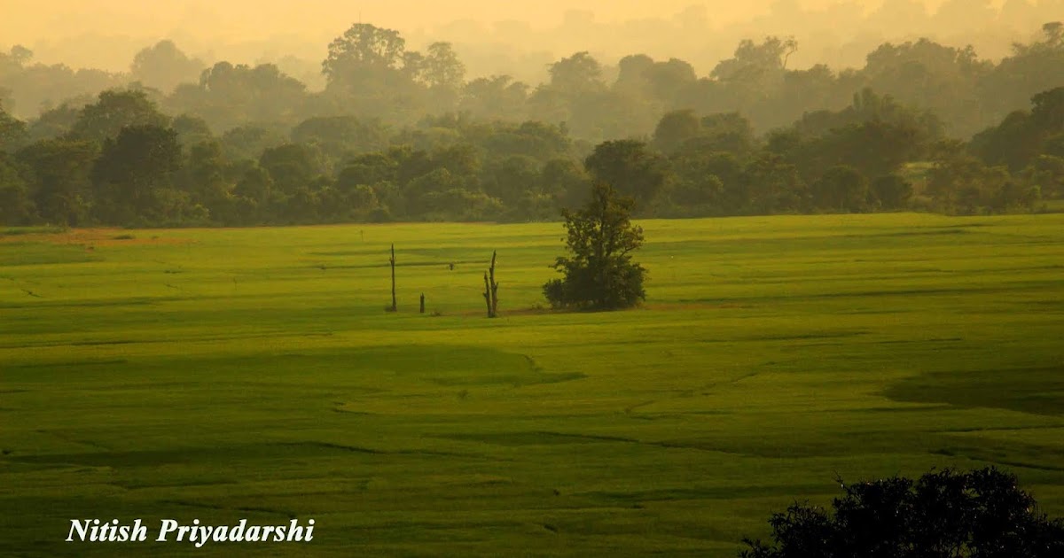 Why Indian Farmers Must Give Preference To Less Water Consuming Crops. 