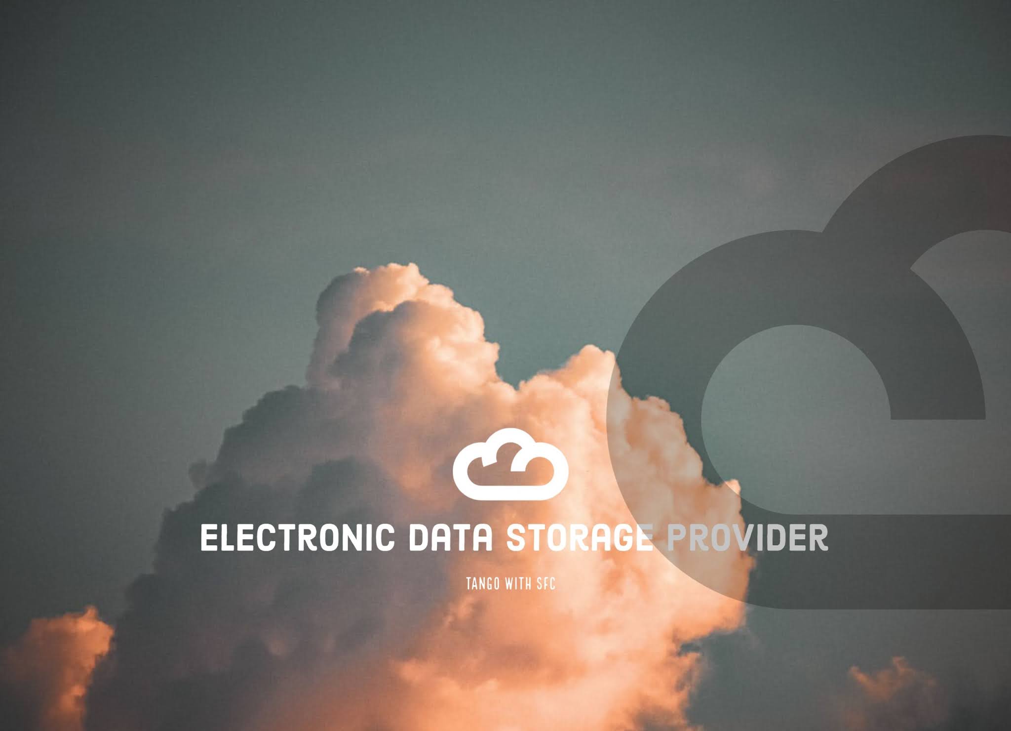 大投行 小人物 金融業的爭論延伸至IT界 Electronic Data Storage Provider (EDSP)