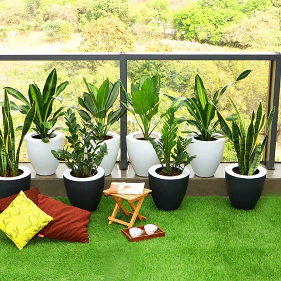 Balcony Garden /Terrace Gardening setup in HYDERABAD at your doorsteps