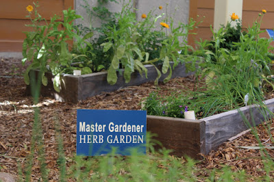 Star Nursery Blog: Stunning Herb Garden Ideas You'll Want to Steal