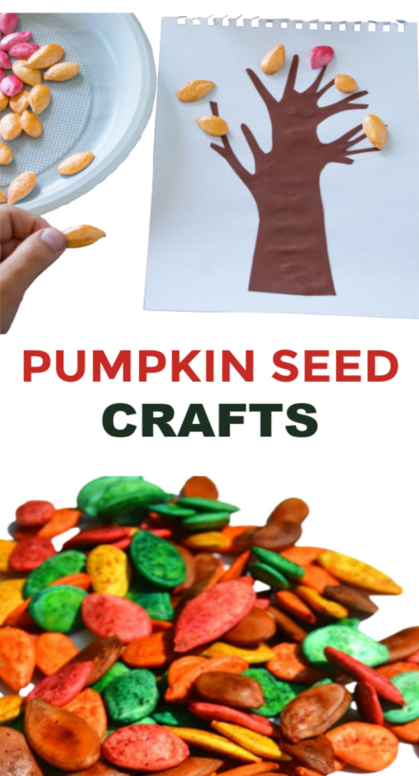 Dye pumpkin seeds  for fall crafts with this easy recipe. #pumpkinseedsrecipe #howtodyepumpkinseeds #pumpkinseedscrafts #fallcraftsforkids #growingajeweledrose