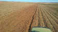 Agrotron M600 & Gascón Disc Harrow