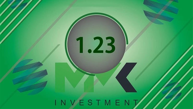 Отчет от проекта MMK Investment Отчет от MMK Investment