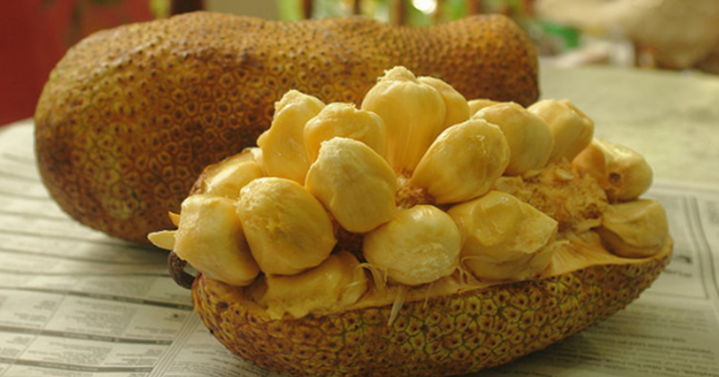 23 Arti Mimpi Tentang Buah Cempedak Menurut Primbon Jawa Dan Islam Arti Mimpi