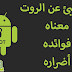 ماهو الروت ROOT السلبيات والاجابيات