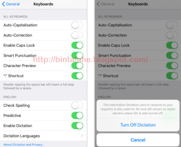 Cara Mematikan Menonaktifkan Siri Di Iphone Ipad Mac Atau Apple Watch Ninna Wiends