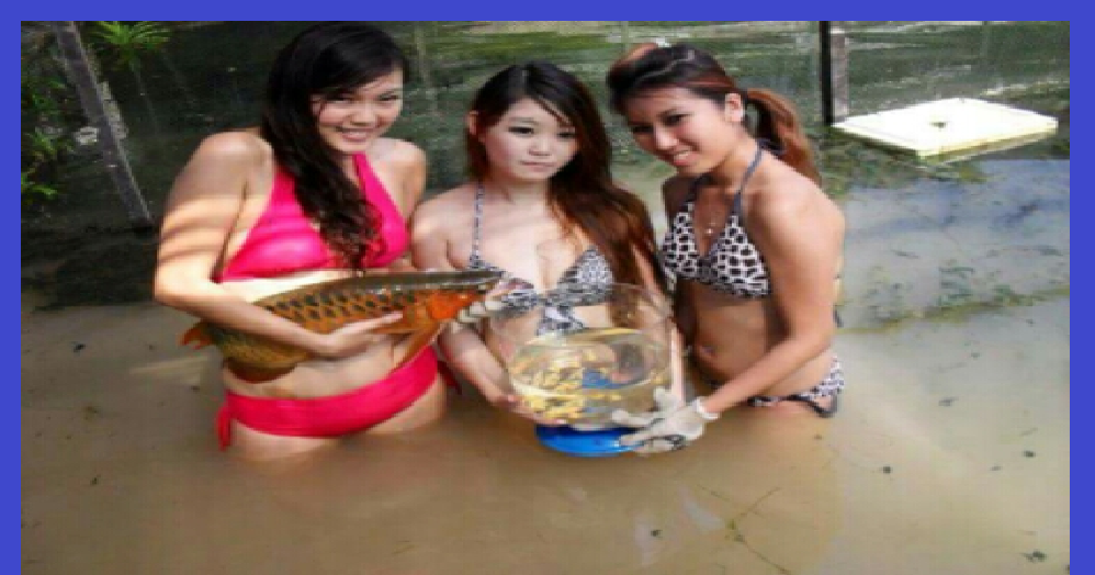 Mimpi Menangkap Ikan Menurut Primbon