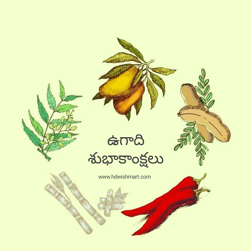 Ugadi Telugu Wishes 11