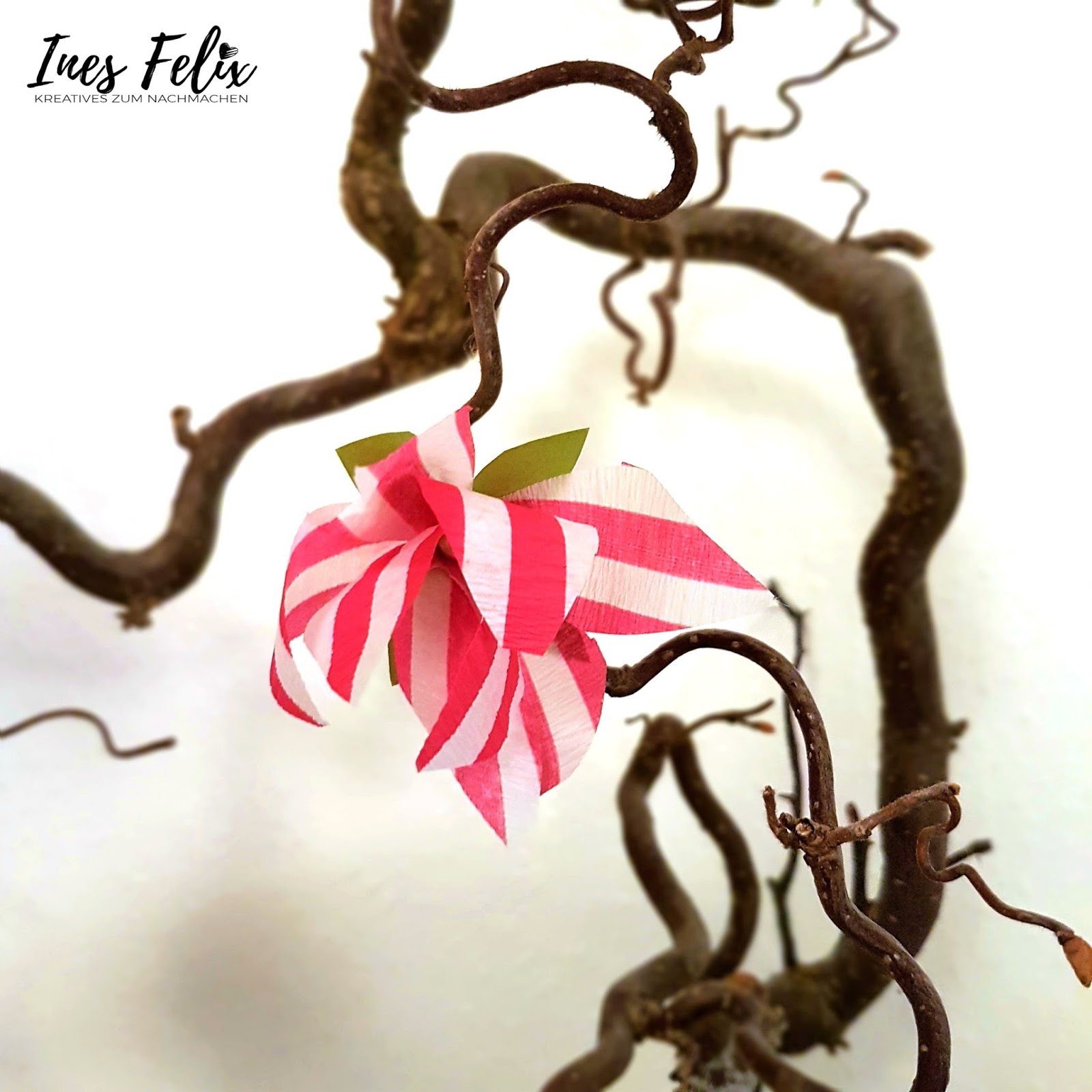 Ines Felix - Kreatives zum Nachmachen: Papierblüten - Magnolien