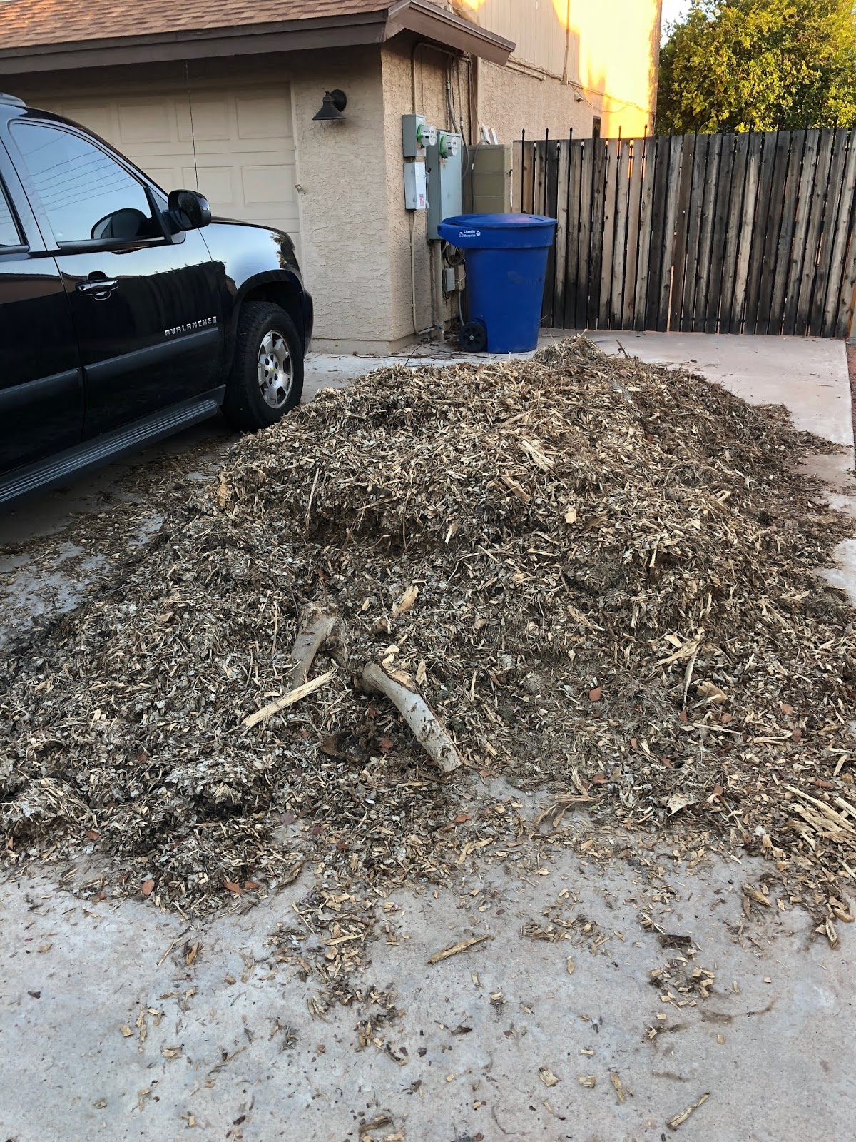 Renaissance Dad Chip Drop Free Mulch for Your Garden (And All Your
