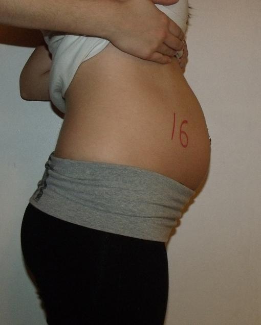 14 недель живот форум. Живот на 16 неделе беременности. Беременность 15 недель -16 недель. Живот на 15 неделе беременности. Беременный живот на 16 неделе.