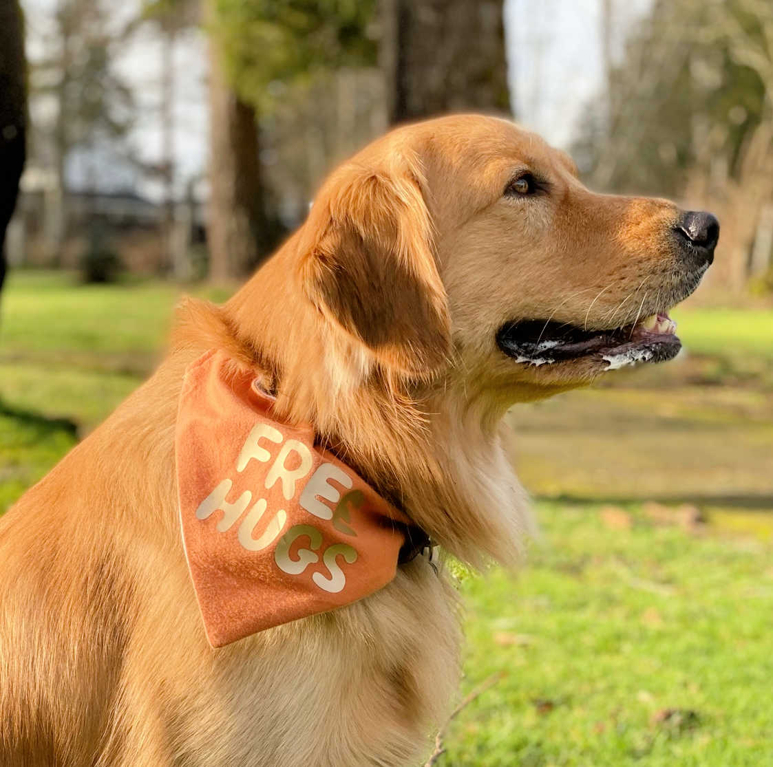 free hugs personalized pet bandana