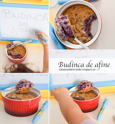 Budinca de afine