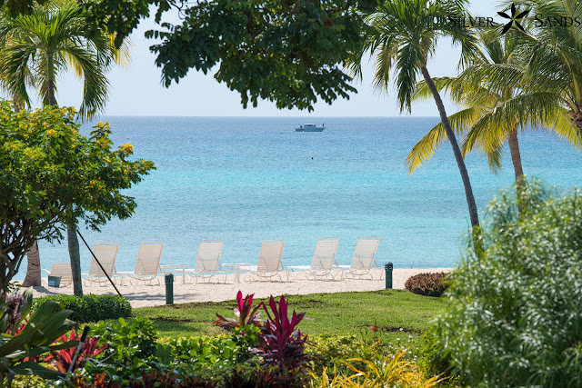 Silver Sands Condos Views for Quarantine and Freedom Front Row Seats to Our Gorgeous Beach.