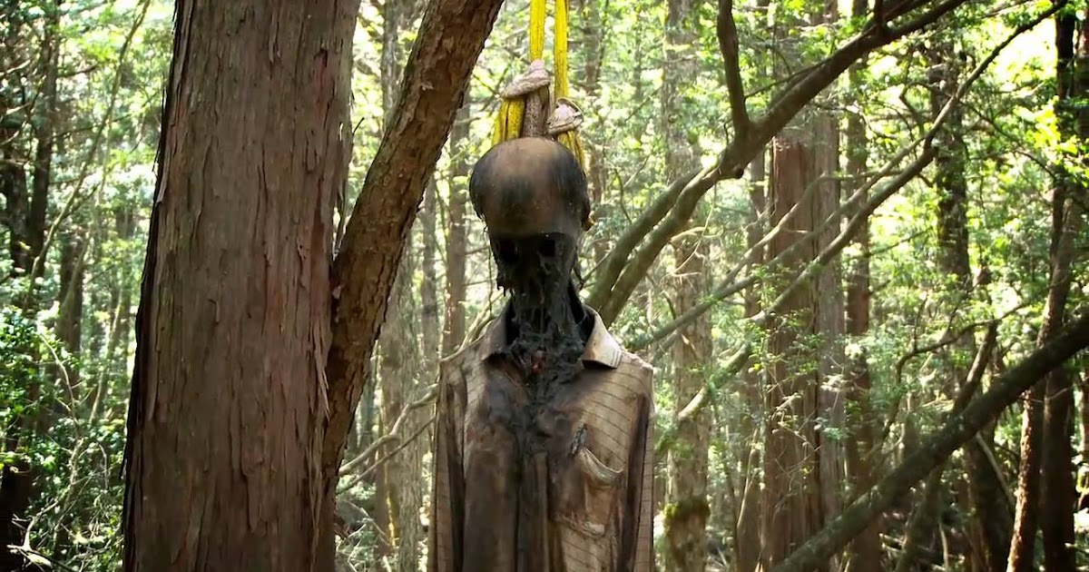 Aokigahara, Hutan Bunuh Diri di Jepang - KEBUN CERITA