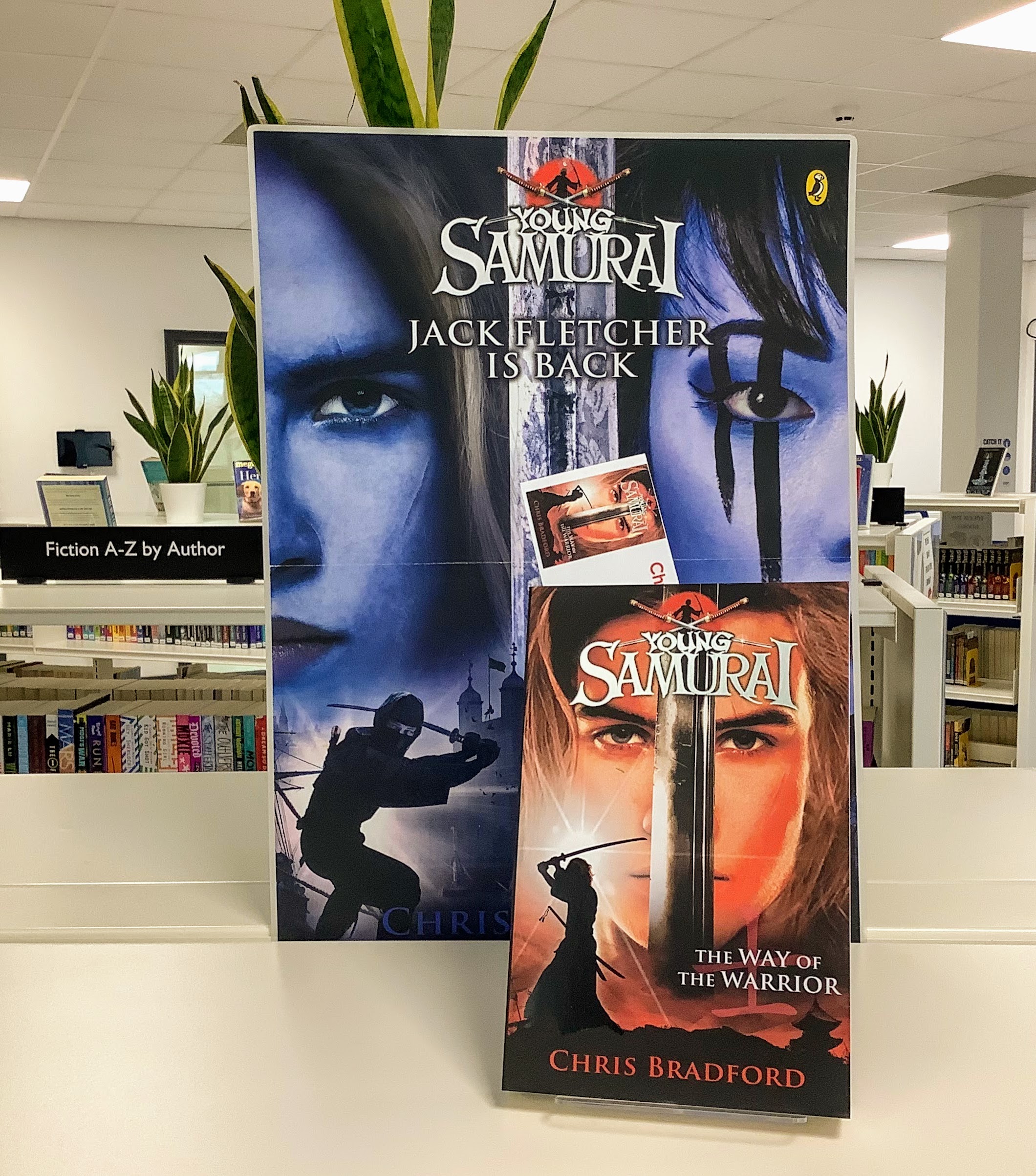 Bradford college degrees picture