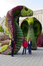 رد: اجمل البساتين فى العالم