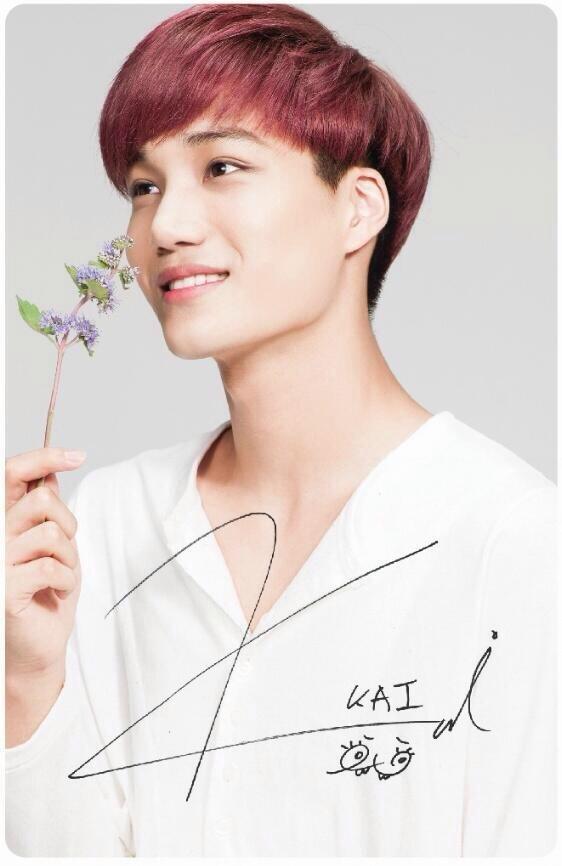 √ Biodata Kai Exo Lengkap