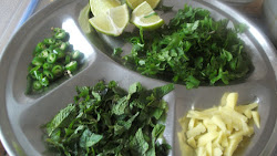 haleem journey cooker